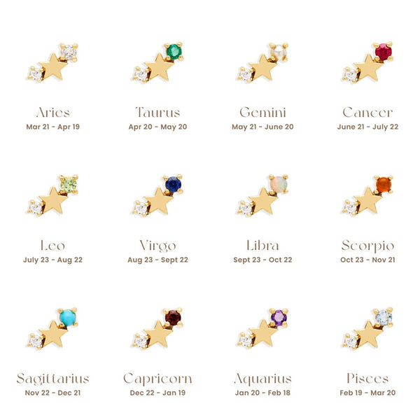 Astrology Zodiac Sign Star Stud Earrings