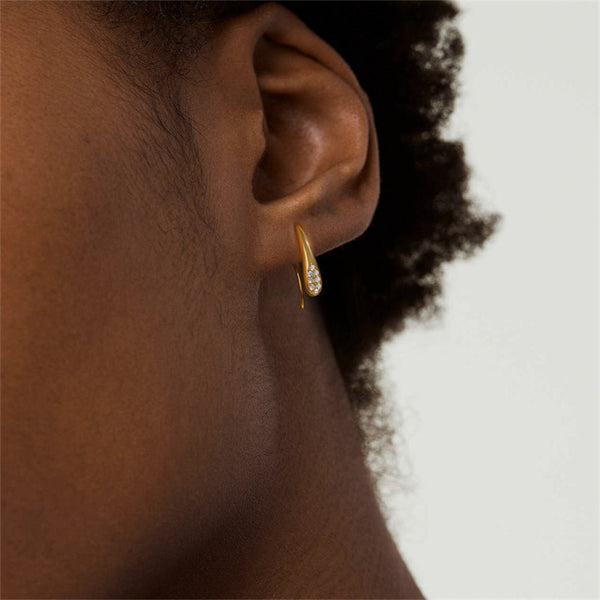 Dainty Teardrop Hook Earrings