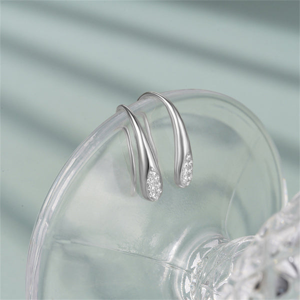 Dainty Teardrop Hook Earrings