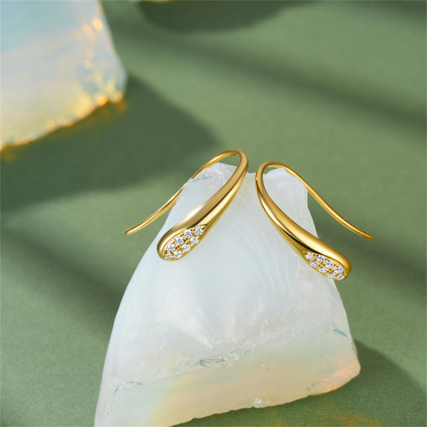 Dainty Teardrop Hook Earrings