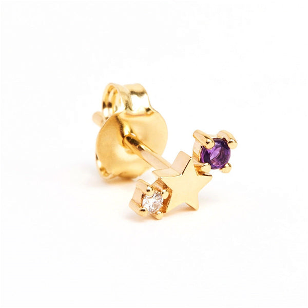 Astrology Zodiac Sign Star Stud Earrings