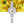 Sunflowers 20 mm Round Bracelet Watch